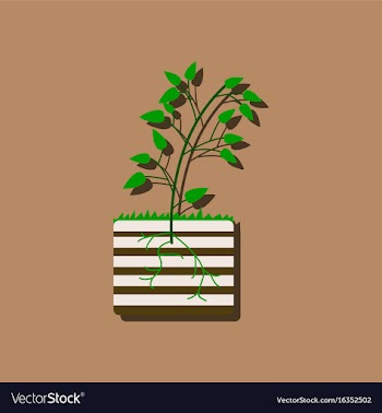 Flat icon design collection plant and root in vector image