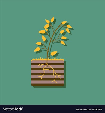 Flat icon design collection plant and root in vector image