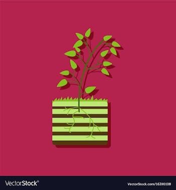 Flat icon design collection plant and root in vector image