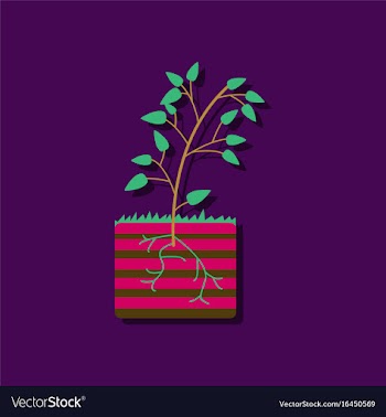 Flat icon design collection plant and root in vector image