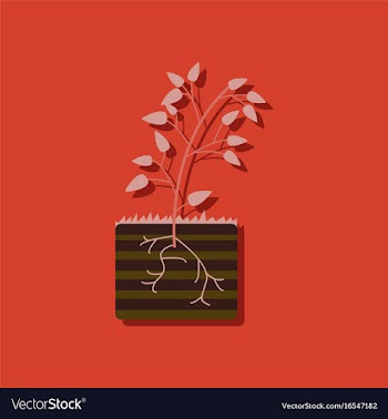 Flat icon design collection plant and root in vector image