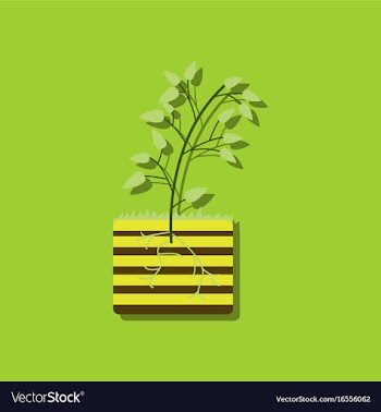 Flat icon design collection plant and root in vector image