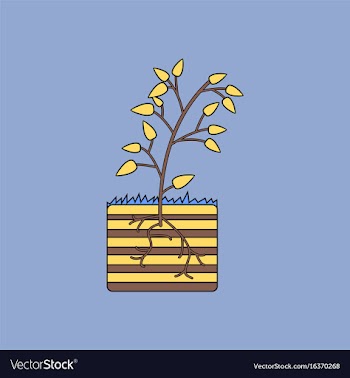 Flat icon design collection plant and root vector image