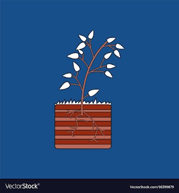 Flat icon design collection plant and root vector image