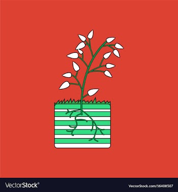 Flat icon design collection plant and root vector image