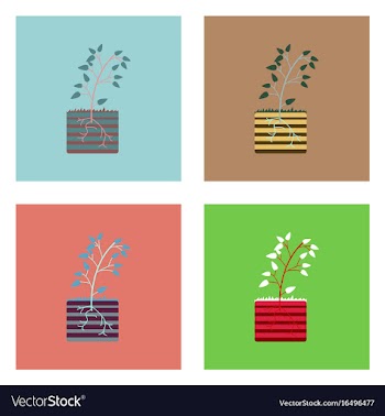 Flat icon design collection plant and root vector image