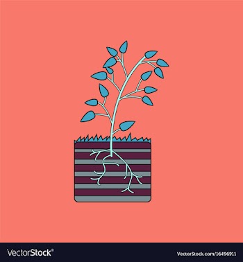 Flat icon design collection plant and root vector image