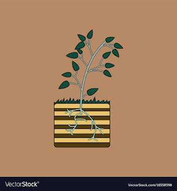 Flat icon design collection plant and root vector image