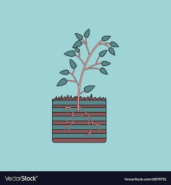Flat icon design collection plant and root vector image