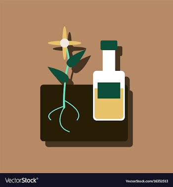 Flat icon design collection plant with bottle in vector image