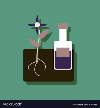 Flat icon design collection plant with bottle in vector image