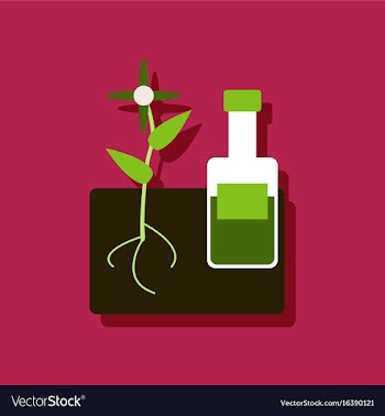 Flat icon design collection plant with bottle in vector image