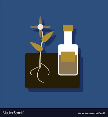 Flat icon design collection plant with bottle in vector image