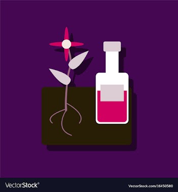 Flat icon design collection plant with bottle in vector image