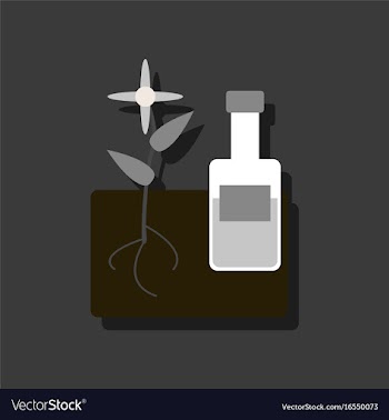 Flat icon design collection plant with bottle in vector image