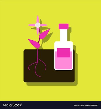 Flat icon design collection plant with bottle in vector image