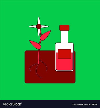Flat icon design collection plant with bottle vector image