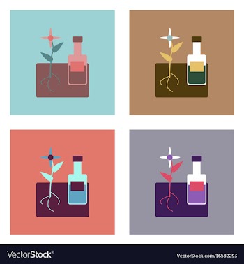 Flat icon design collection plant with bottle vector image