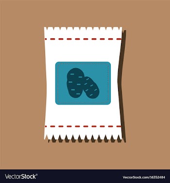 Flat icon design collection potato seeds in vector image
