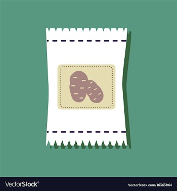 Flat icon design collection potato seeds in vector image