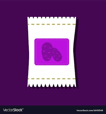 Flat icon design collection potato seeds in vector image