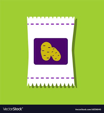 Flat icon design collection potato seeds in vector image