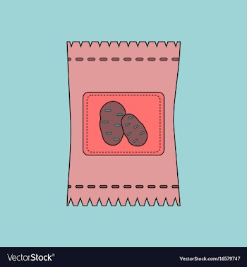 Flat icon design collection potato seeds vector image