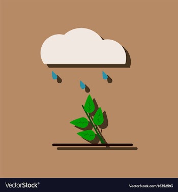 Flat icon design collection rain and bush in vector image