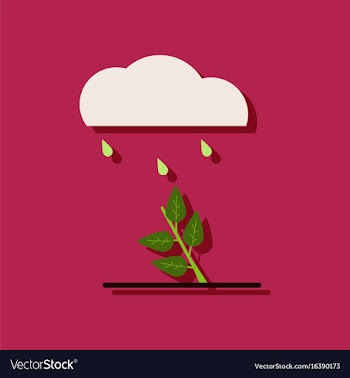 Flat icon design collection rain and bush in vector image