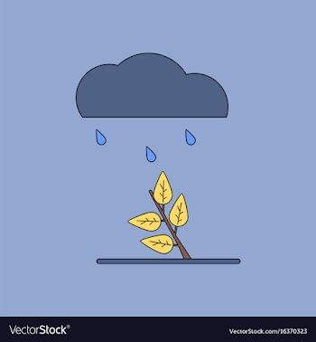 Flat icon design collection rain and bush vector image