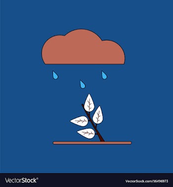 Flat icon design collection rain and bush vector image