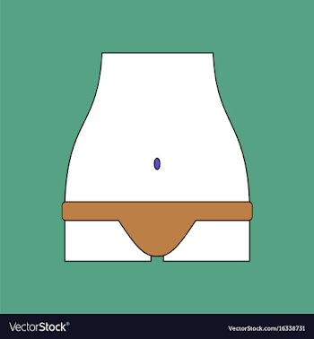 Flat icon design collection sexy female thong vector image