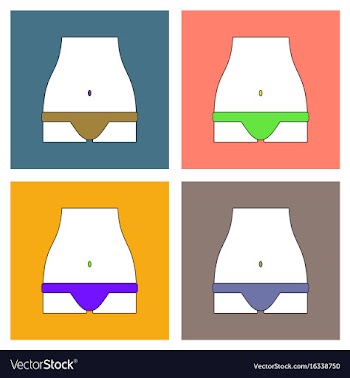 Flat icon design collection sexy female thong vector image