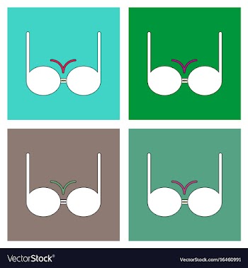 Flat icon design collection sexy women brassiere vector image