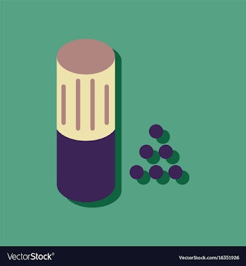 Flat icon design collection shotgun bullet in vector image