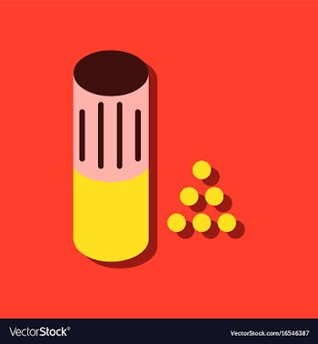 Flat icon design collection shotgun bullet in vector image