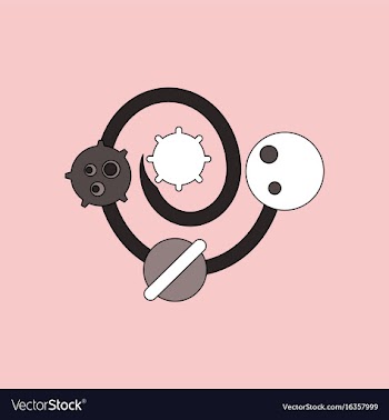 Flat icon design collection solar system vector image