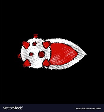 Flat icon design collection space comet in stroke vector image