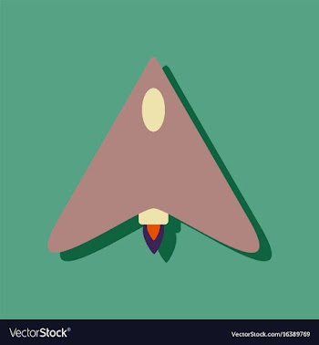 Flat icon design collection stealth attack plane vector image