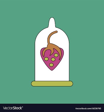 Flat icon design collection strawberry condom vector image