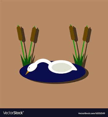 Flat icon design collection swan in the reeds in vector image