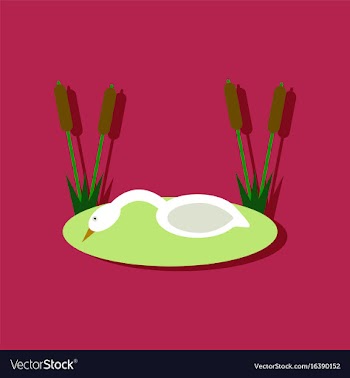 Flat icon design collection swan in the reeds in vector image