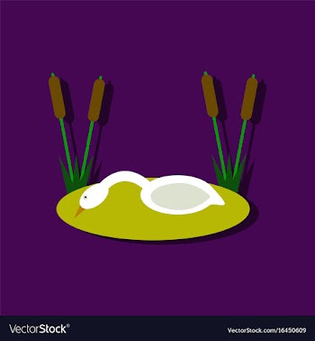Flat icon design collection swan in the reeds in vector image