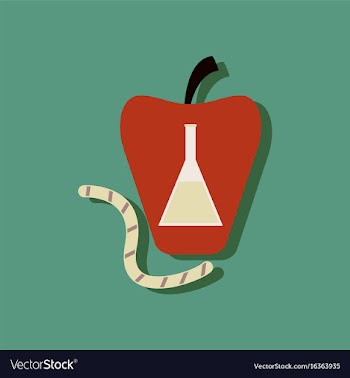 Flat icon design collection test-tube in apple vector image