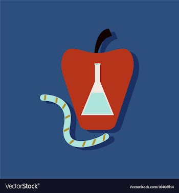 Flat icon design collection test-tube in apple vector image