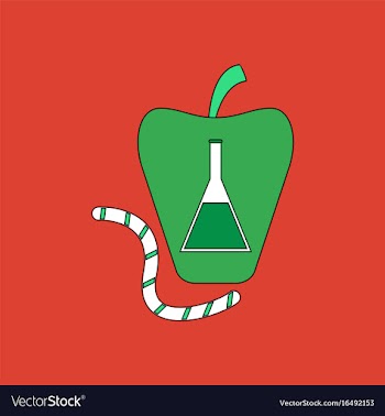 Flat icon design collection test-tube in apple vector image