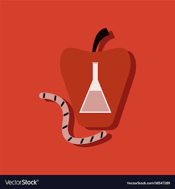 Flat icon design collection test-tube in apple vector image