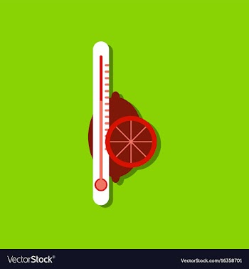 Flat icon design collection thermometer with vector image