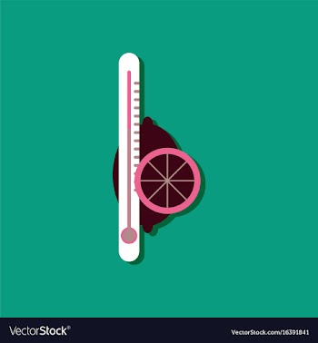 Flat icon design collection thermometer with vector image