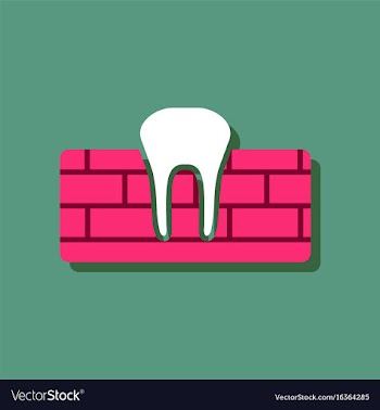Flat icon design collection tooth and gum in vector image